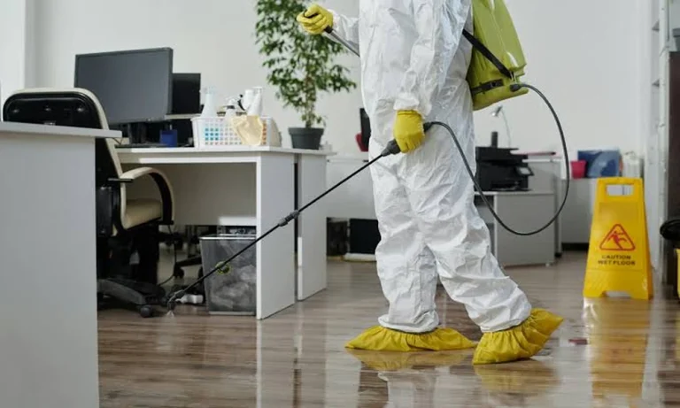 How Northwest Arkansas Homeowners Save Money with Professional Pest Control